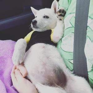 Meet your Posher, Sarah